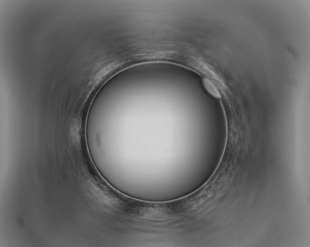 X0000112050107200908111359