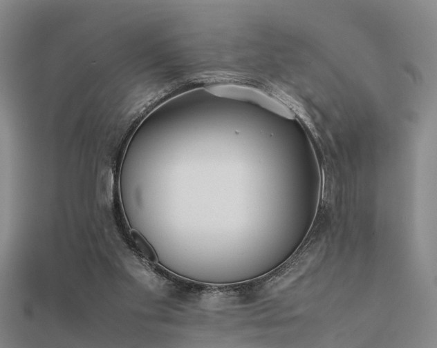 X0000112050109200908111359