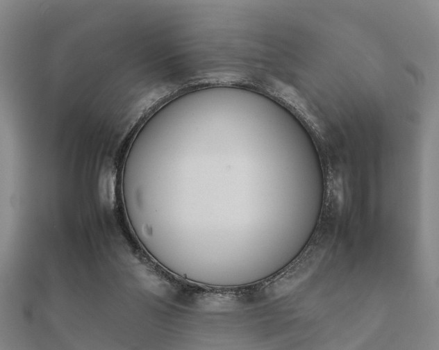 X0000112050110200908111359