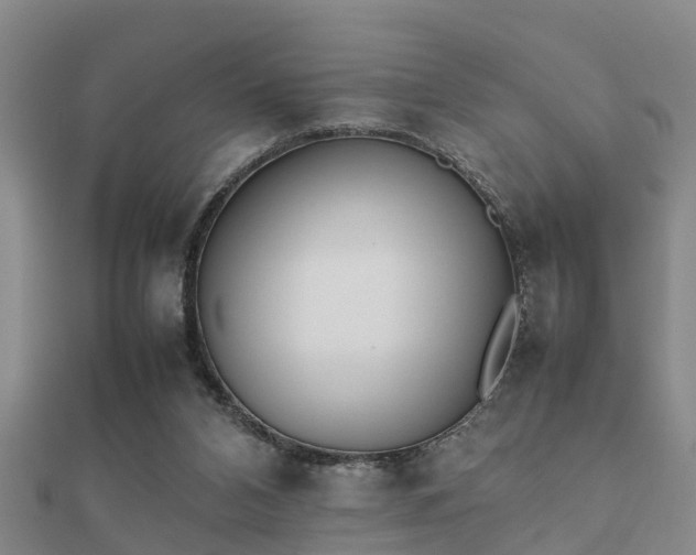 X0000112050112200908111359