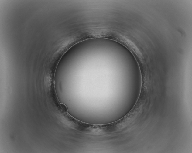 X0000112050113200908111359