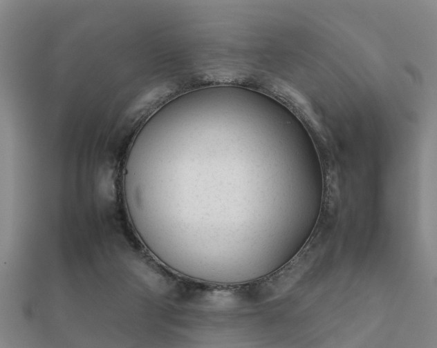 X0000112050114200908111359