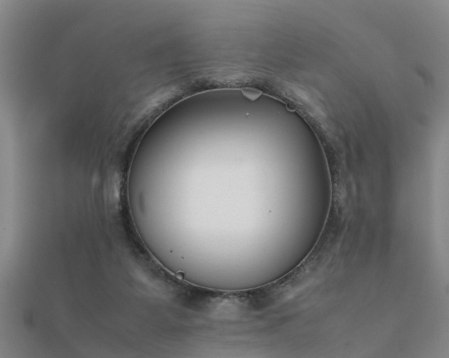 X0000112050115200908111359