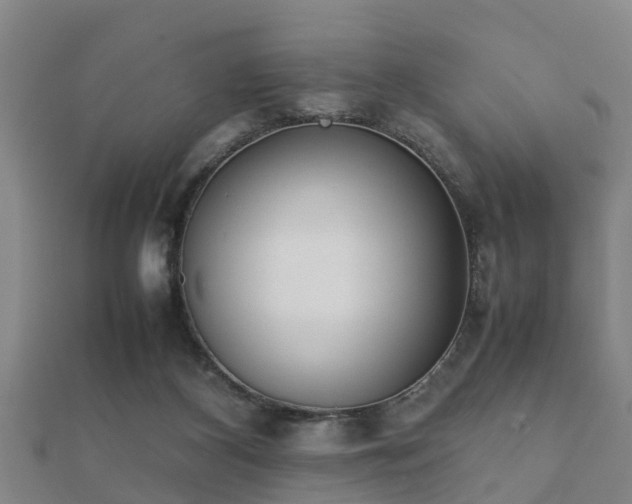 X0000112050116200908111359