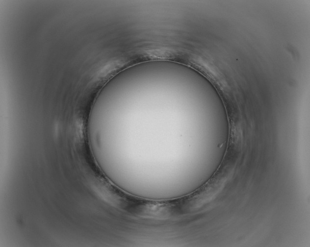 X0000112050117200908111359