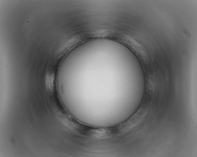 X0000112050118200908111359