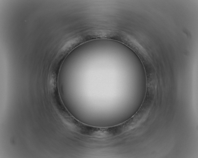 X0000112050119200908111359