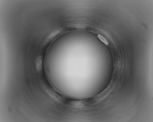 X0000112050120200908111359