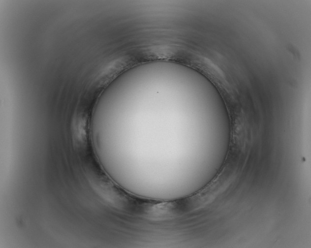 X0000112050122200908111359