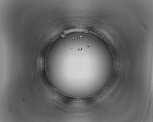 X0000112050123200908111359