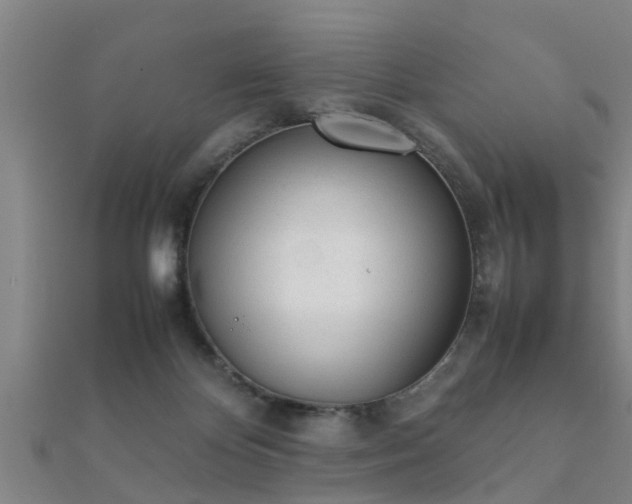 X0000112050124200908111359