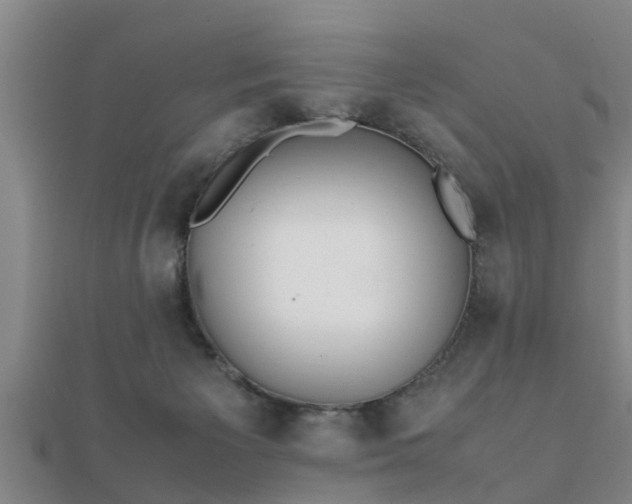 X0000112050125200908111359