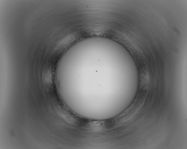 X0000112050126200908111359