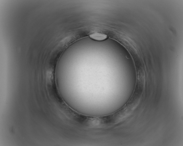 X0000112050127200908111359