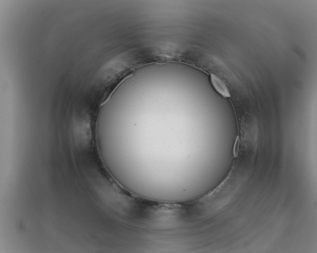 X0000112050128200908111359