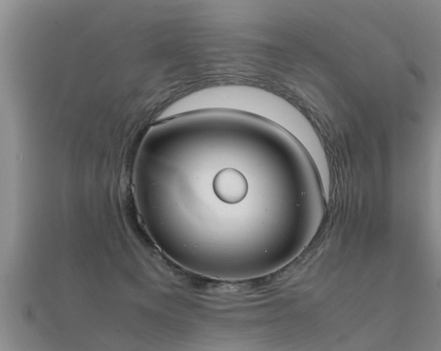 X0000112050129200908111359