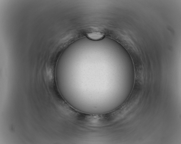 X0000112050131200908111359