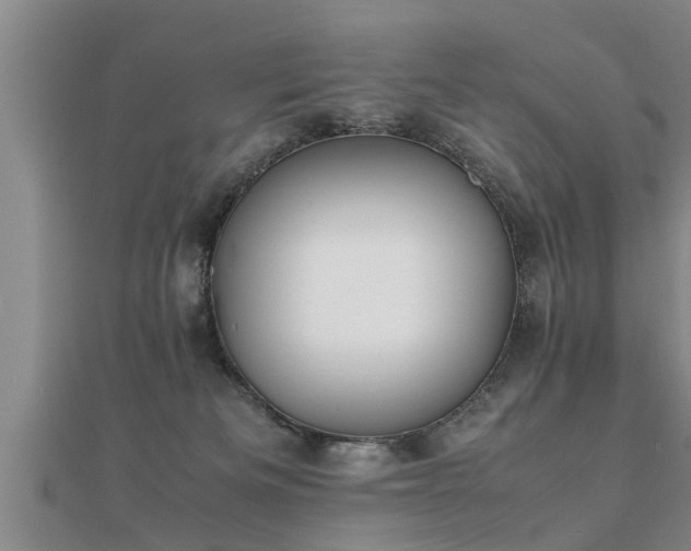 X0000112050133200908111358