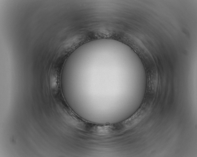 X0000112050134200908111358