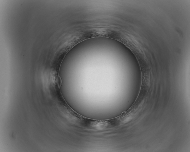 X0000112050135200908111358