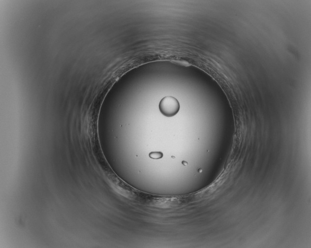 X0000112050136200908111358