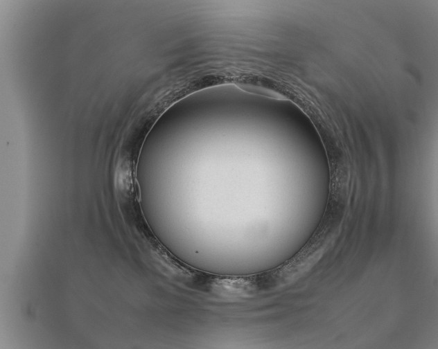 X0000112050137200908111358