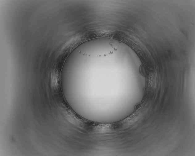 X0000112050138200908111358