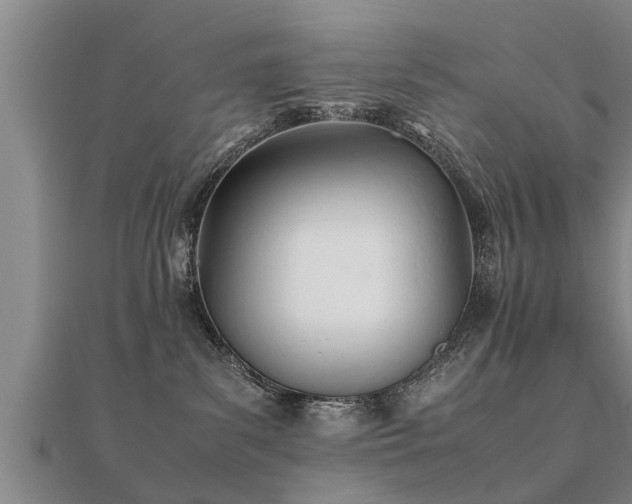 X0000112050139200908111358