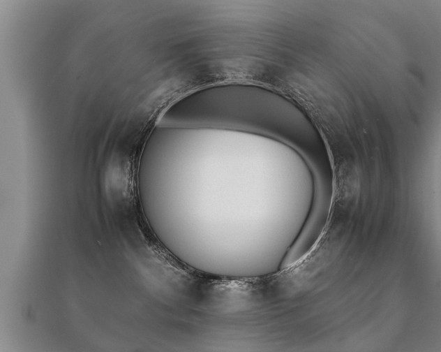 X0000112050140200908111358