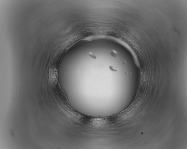 X0000112050141200908111358