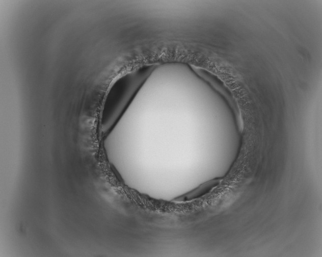 X0000112050144200908111358