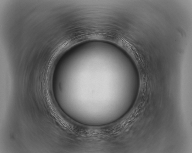 X0000112050145200908111358