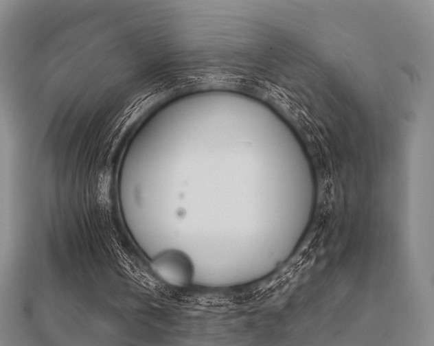 X0000112050146200908111358