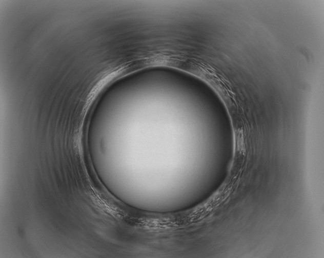 X0000112050147200908111358