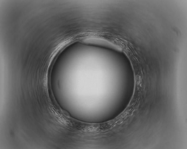 X0000112050148200908111358