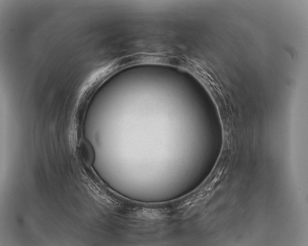 X0000112050149200908111358