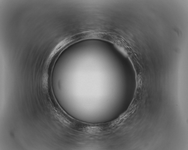 X0000112050150200908111358