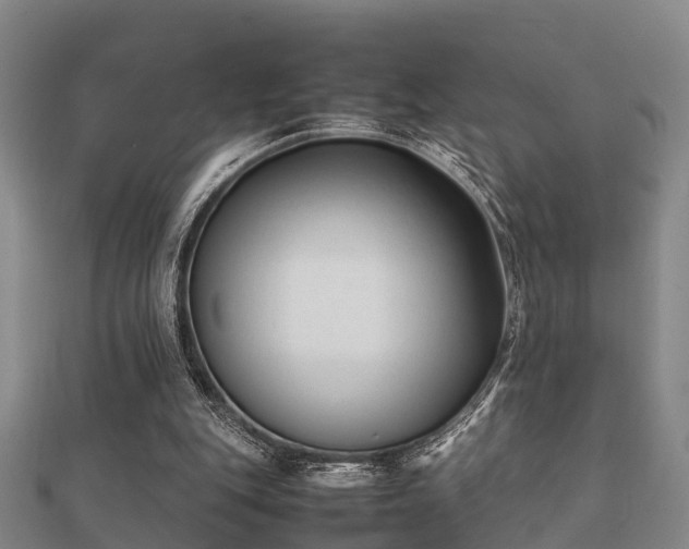 X0000112050151200908111358