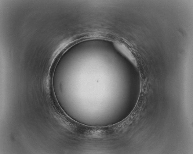 X0000112050152200908111358