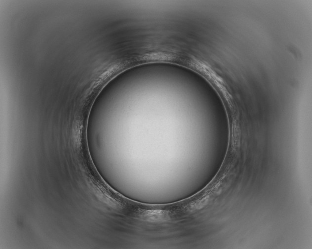 X0000112050153200908111358