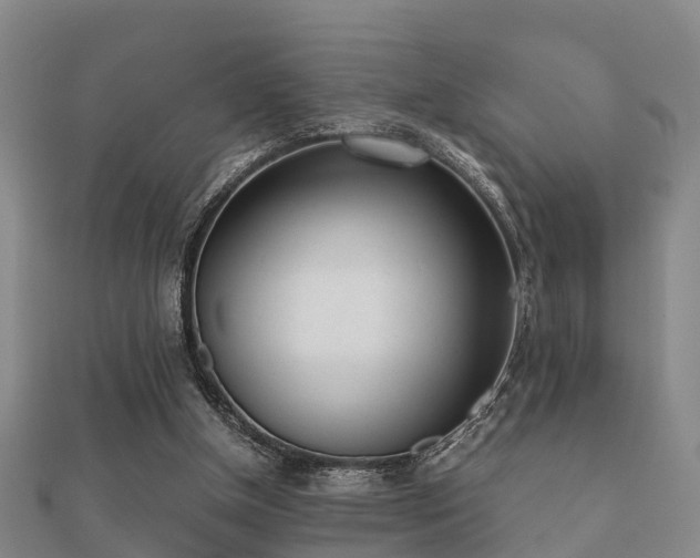 X0000112050154200908111358