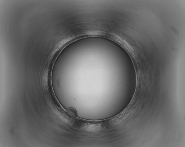 X0000112050155200908111358