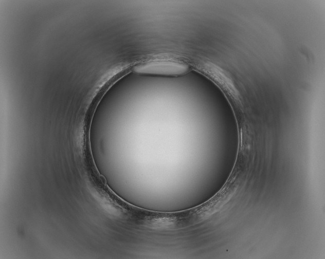 X0000112050156200908111358