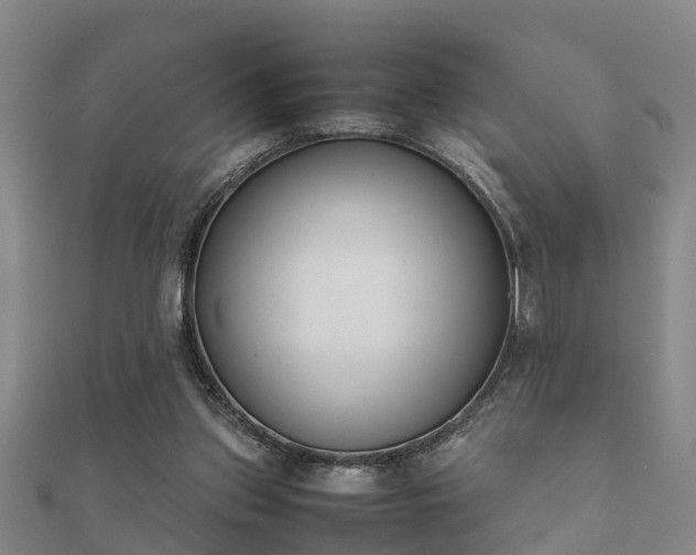 X0000112050157200908111358