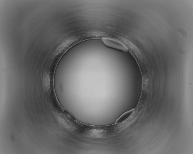 X0000112050158200908111358