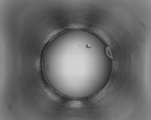 X0000112050159200908111358