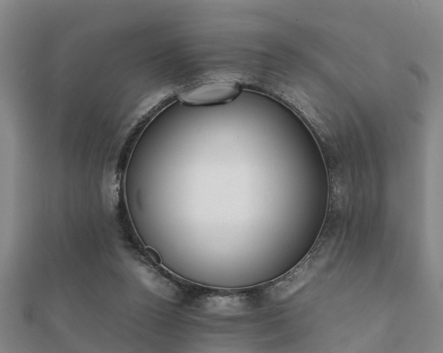 X0000112050160200908111358