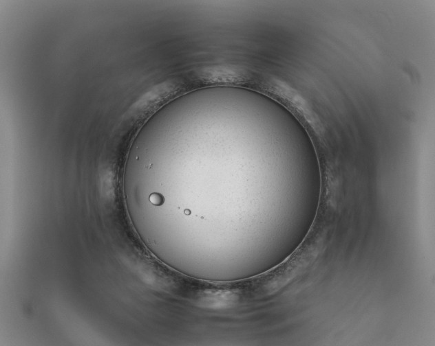 X0000112050161200908111358