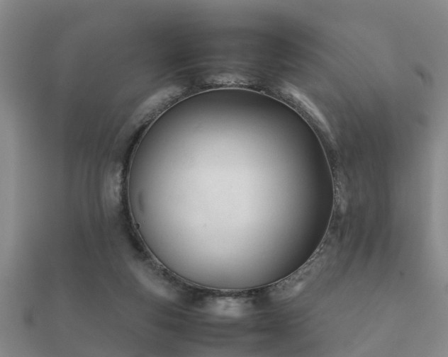 X0000112050163200908111358