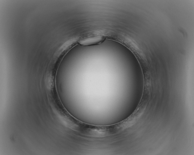 X0000112050164200908111358